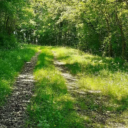 La Grange * Le Plan (Haute-Garonne)