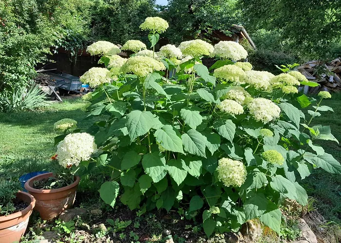 Nyaraló La Grange Le Plan