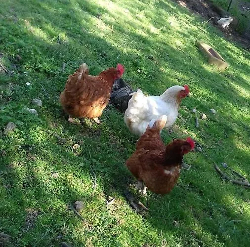 La Grange Nyaraló Le Plan