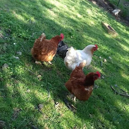 La Grange 別荘 Le Plan